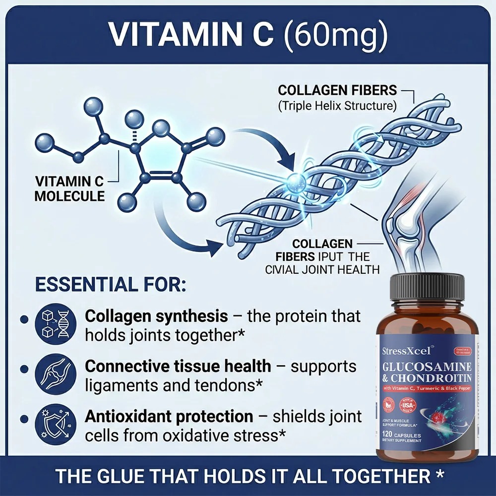 Suplemento de Glucosamina y Co - Glucosamine Chondroitin Joint reseña y precio